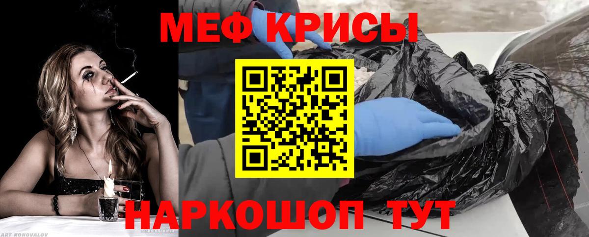 МЕФ  Кириши